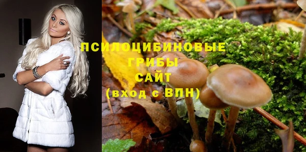 Альфа ПВП Абаза