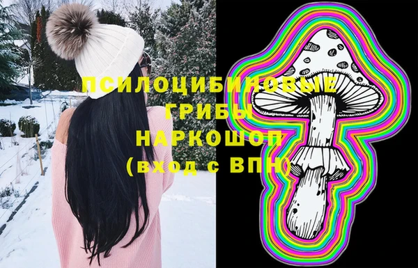Альфа ПВП Абаза