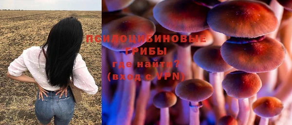 PSILOCYBIN Абинск