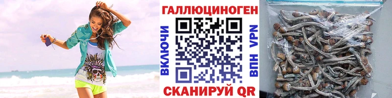 где можно купить   Ступино  ссылка на мегу как зайти  Галлюциногенные грибы ЛСД 